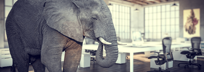 An image of an elephant standing in an office illustrating the turn of phrase "addressing the elephant in the room".
