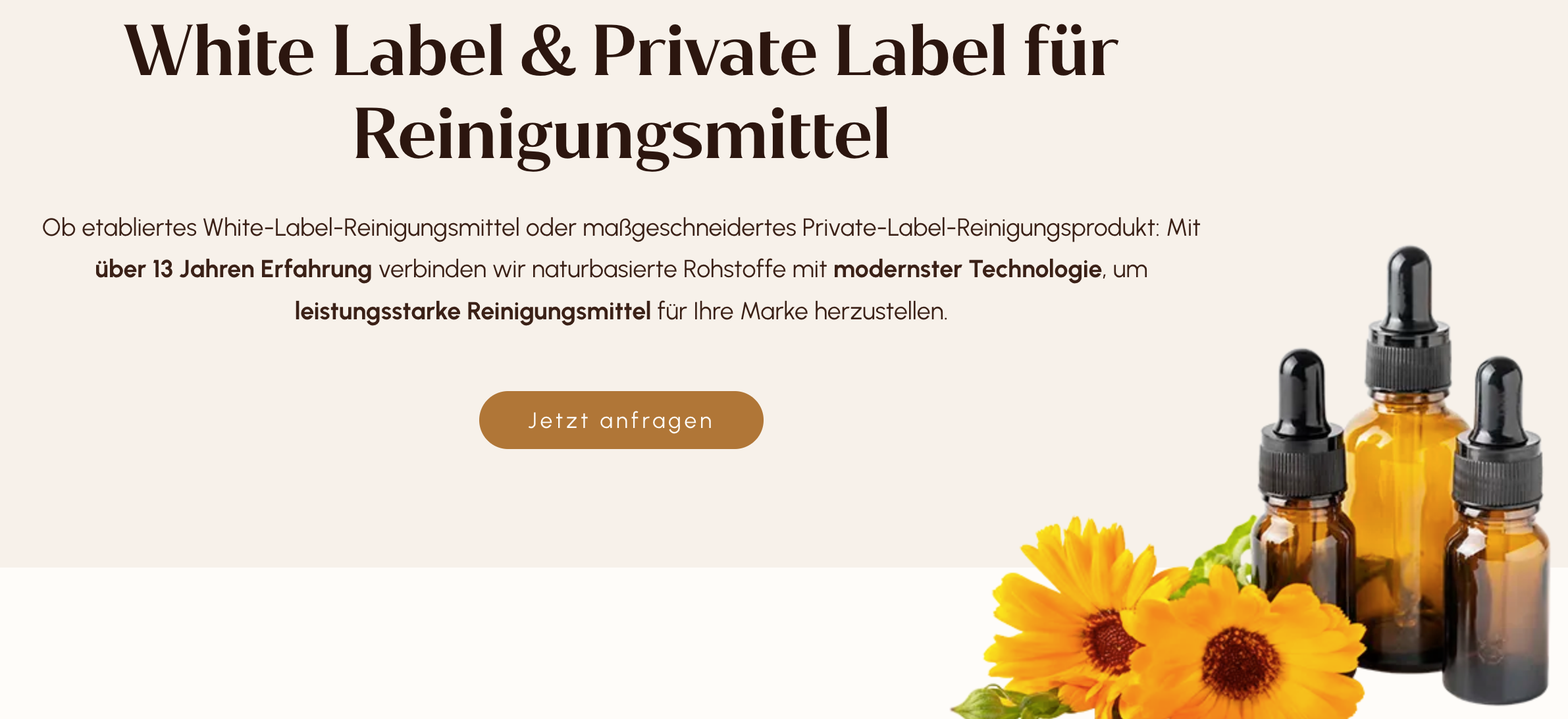 Hero-Sektion mit der H1 "White Label & Private Label für Reinigungsmittel".