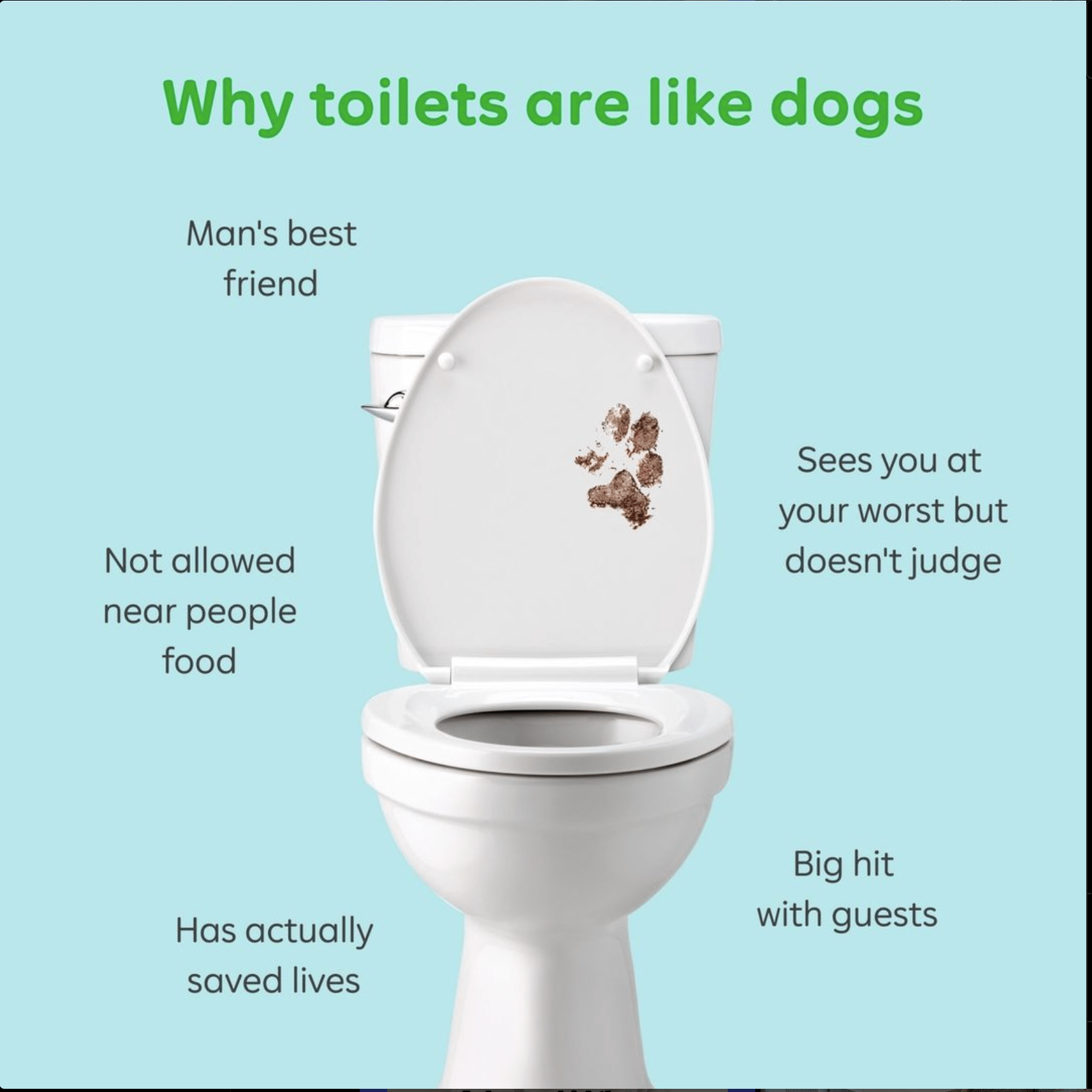 Screenshot of an Instagram post from WGAC comparing toilets to dogs by making the point that they never judge you and always have your back.