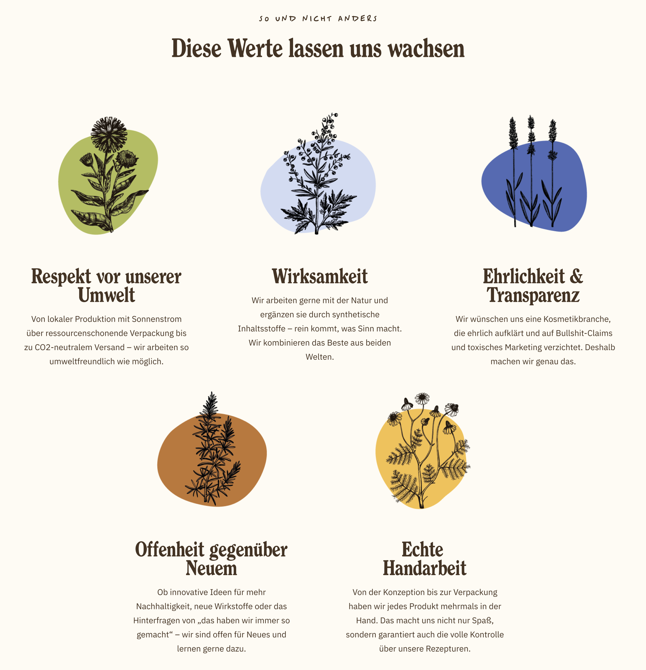 USP-Sektion auf der Werte-Seite von Wolkenlos Kosmetik: Text und Design gehen hier Hand in Hand und die H2 "Diese Werte lassen uns wachsen" wird visuell von Pflanzen-Illustrationen unterstützt.