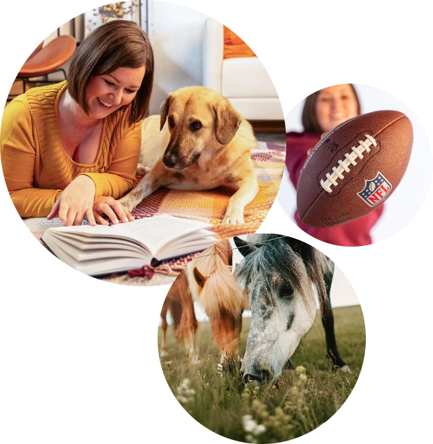 Grafik mit drei Bildern (Frau mit Hund beim Lesen, Football, grasende Pferde) und 4 Textelemente (Hundeliebe, Football-Fan, Leseratte & Pferdemädchen), die Birgit Spalt-Zoidl näher beschreiben.